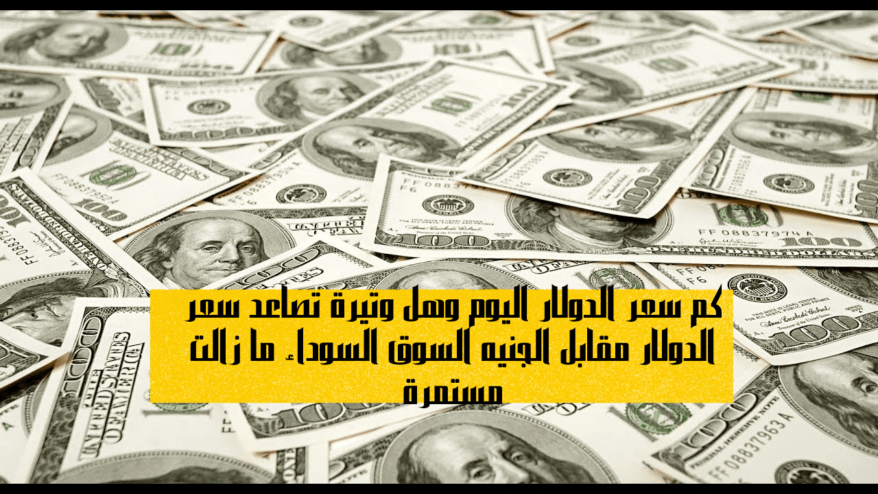 كم سعر الدولار اليوم وهل وتيرة تصاعد سعر الدولار مقابل الجنيه السوق السوداء ما زالت مستمرة