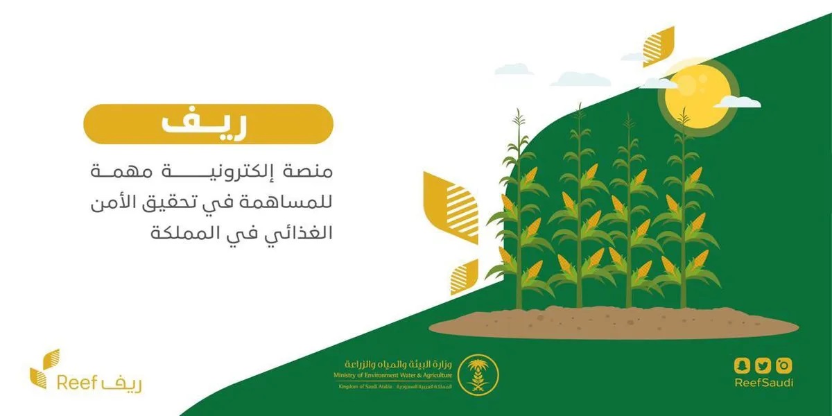 خطوات الاستعلام عن دعم ريف برقم الهوية 1445 وشروط استحقاق الدعم الريفي للأسر