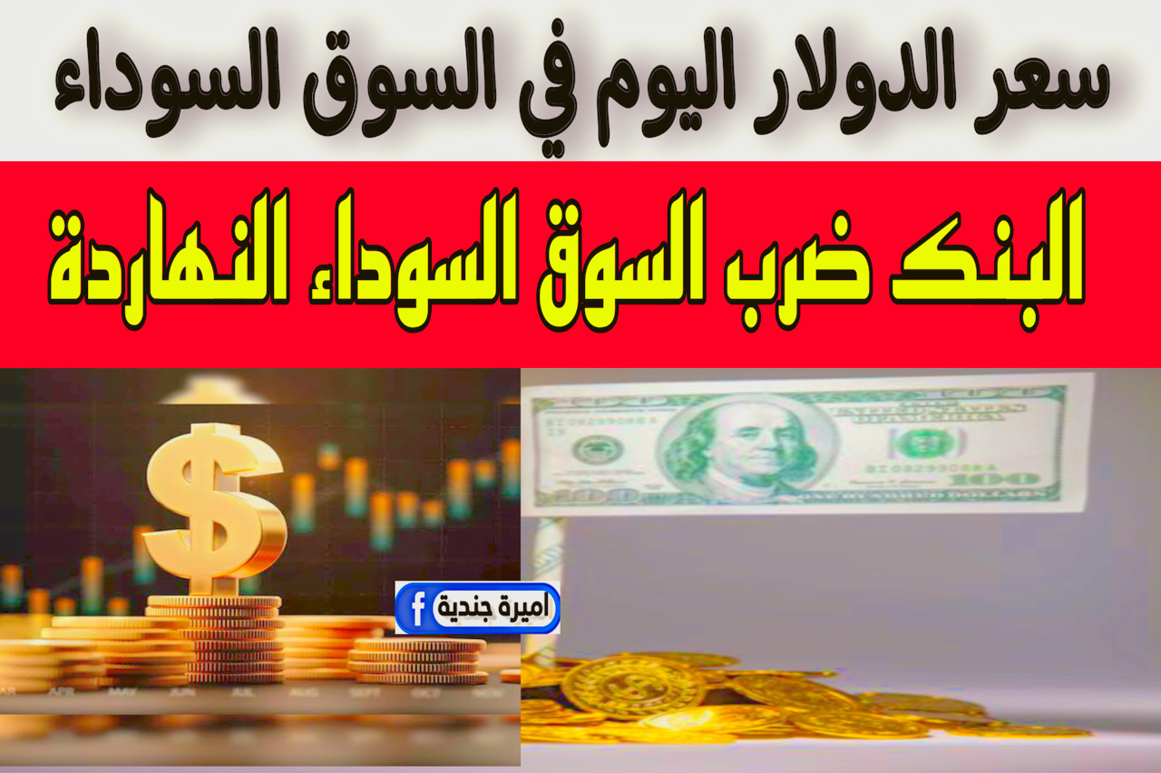 “طـلع بالعالي” سعر الدولار اليوم في السوق السوداء مقابل الجنيه + 1 دولار بكم جنيه دلوقت في السوق والبنك