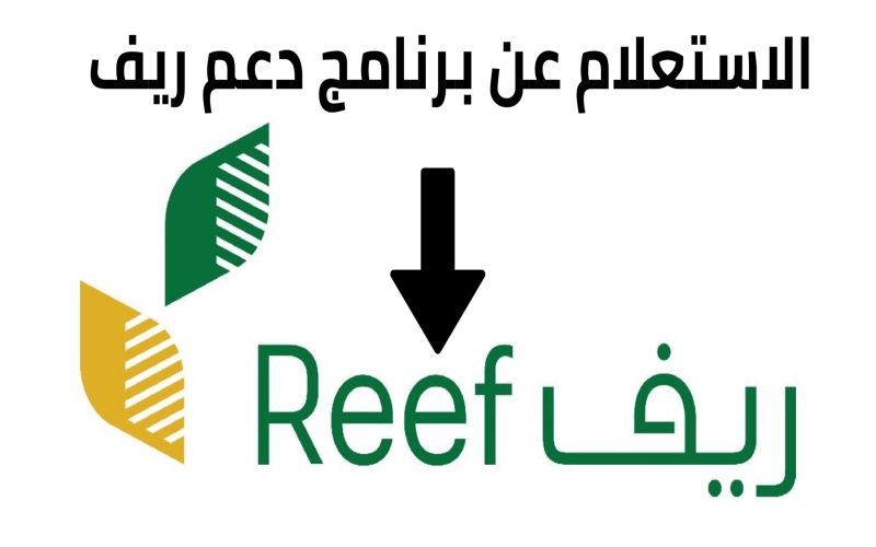 كيفية الاستعلام عن دعم ريف برقم الهوية 1445 وخطوات التسجيل في الدعم الريفي للأسر reef.gov.sa