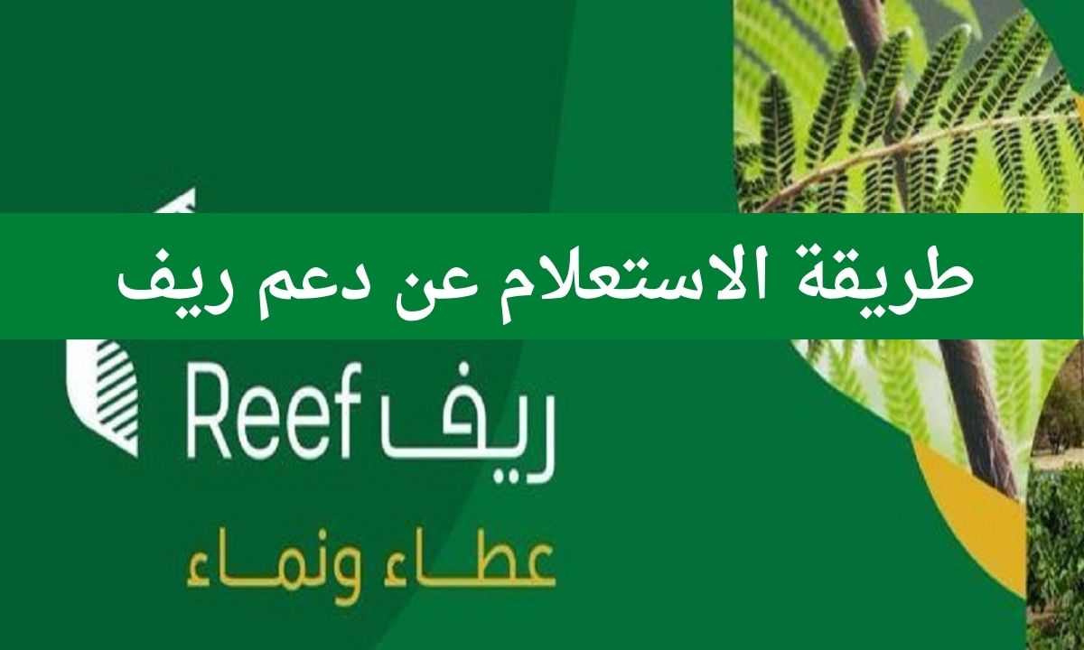 هنا.. الاستعلام عن دعم ريف برقم الهوية 1445 وما هي شروط استحقاق الدعم الريفي reef.gov.sa