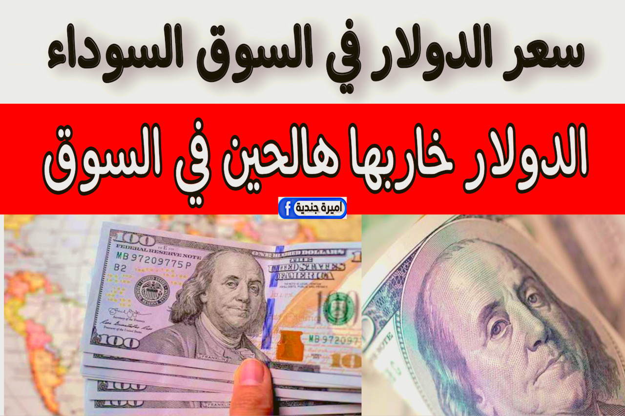 “شو يساوي!” تحديث سعر الدولار في السوق السوداء اليوم مع زيادة شهادات الادخار في البنوك + بكام 5000 دولار في السوق هالحين