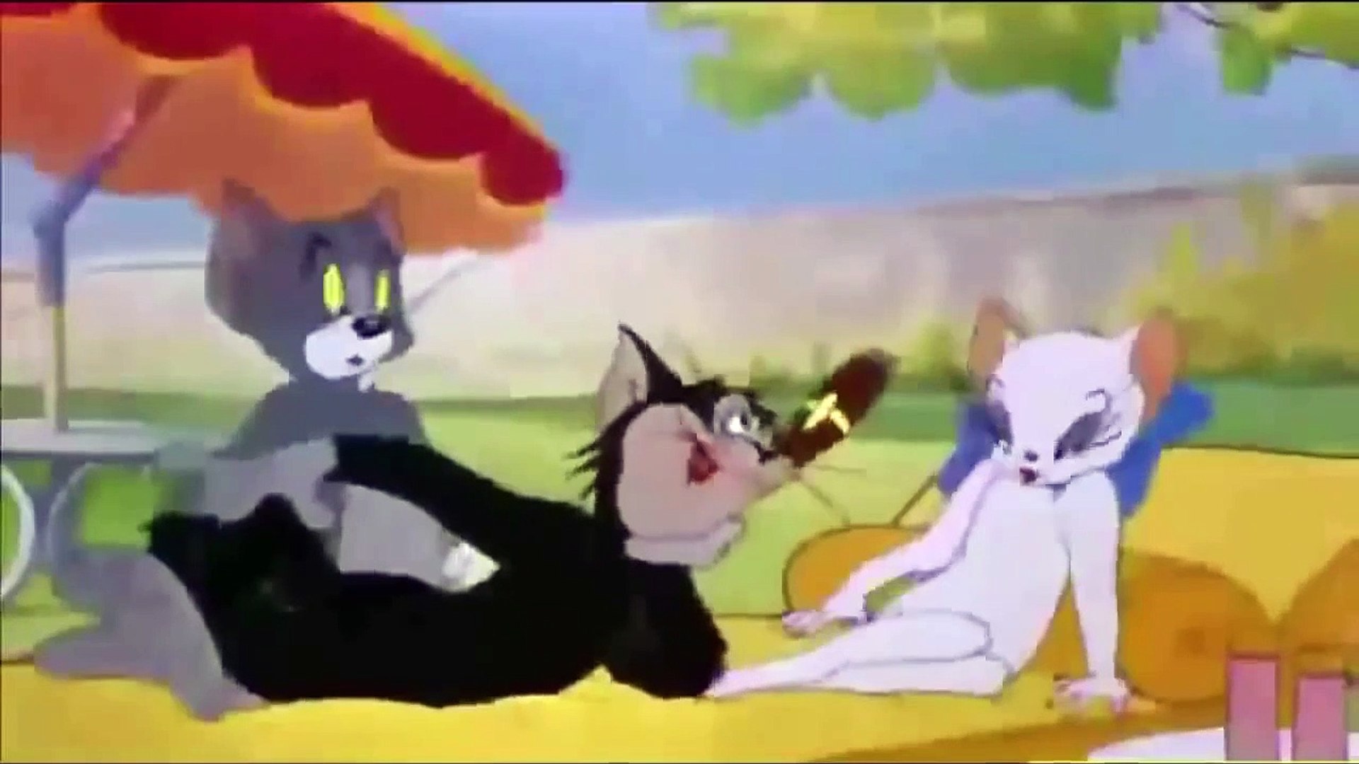 استقبل تردد قناة توم وجيري 2024 Tom & Jerry لاجمل افلام الكارتون للاطفال