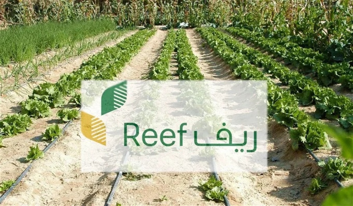 متى موعد صرف دعم ريف فبراير 2024+ما هي خطوات الاستعلام عن أهلية الدعم الريفي؟ وزارة البيئة والزراعة تُجيب موضحة