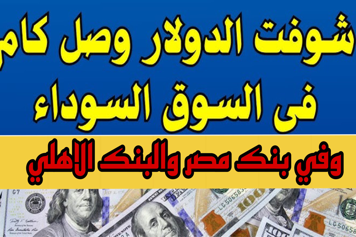 سعر الدولار اليوم بنك مصر والسوق السوداء تحديث يومي السبت 30 مارس | اليكـــم اسعار العملات الاجنبية