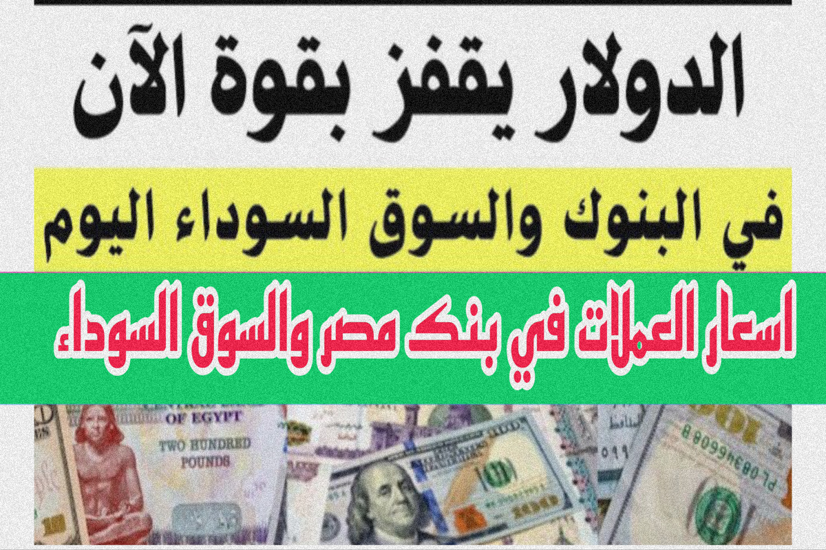 سعر الدولار اليوم في البنك الاهلي والسوق السوداء | هــذا اسعار العملات في بنك مصر 29 مارس 2024