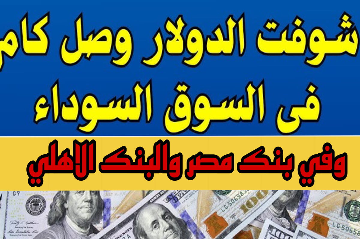 سعر الدولار مقابل الجنيه المصري تحديـث مستمر بتاريخ اليوم | اكتشف 100 دولار كمان تساوي في السوق السوداء والبنوك