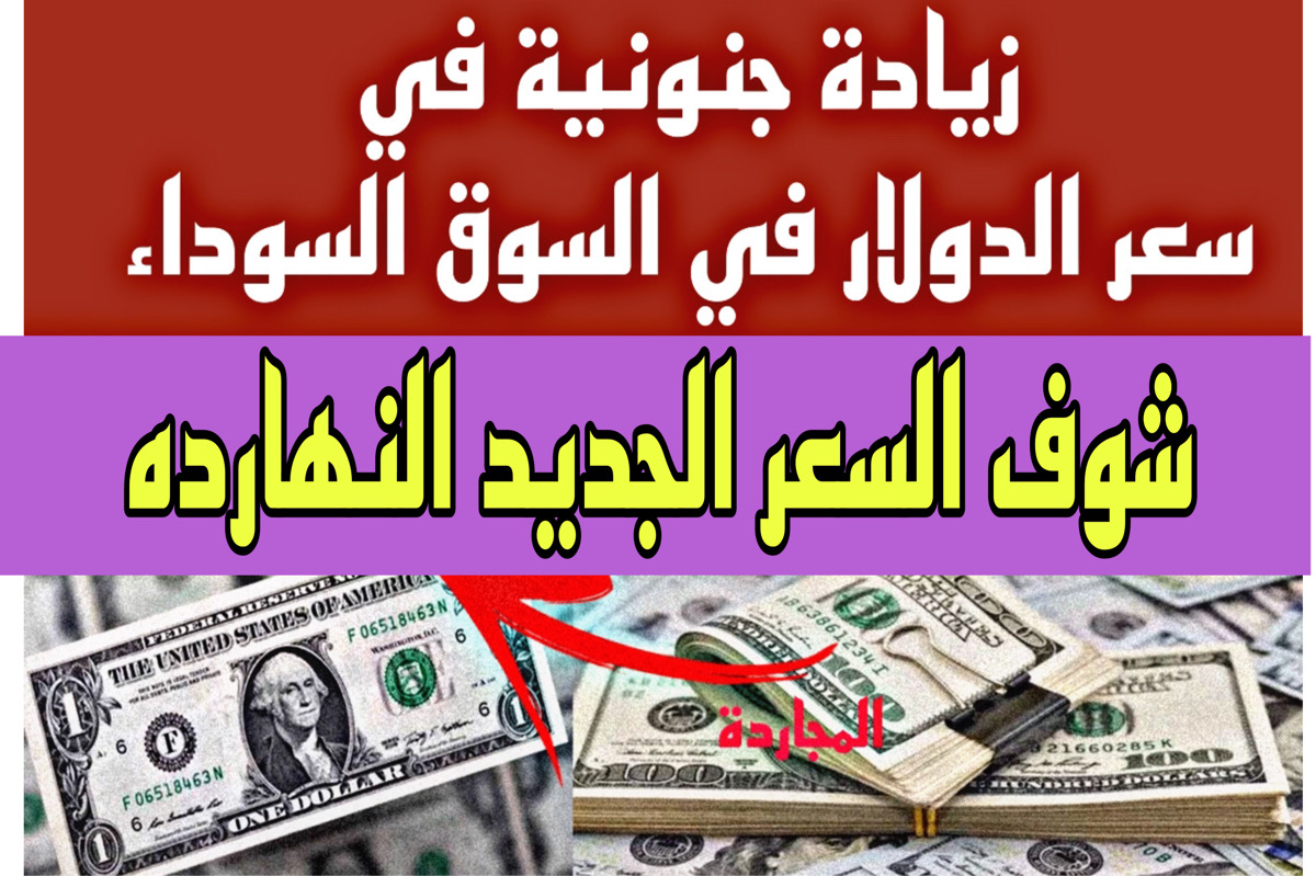 نبين سعر الدولار اليوم في السوق السوداء بتاريخ اليوم وفي البنك .. 100 أخضر عامل ايـه النهارده!!