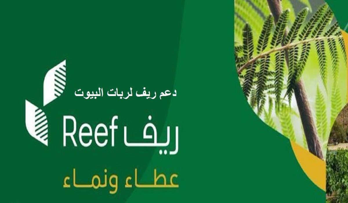 reef.sa|| رابط استعلام الدعم الريفي برقم الهوية 1445+شروط الحصول على دعم ريف للأسر المنتجة