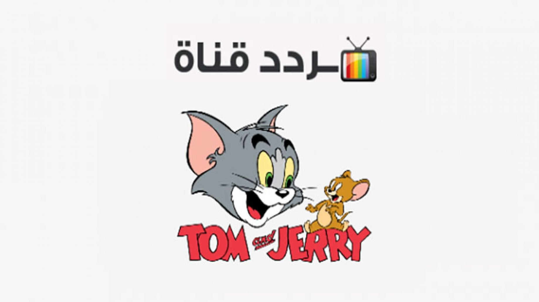 العب مع القط والفار توم أند جيري.. تردد قناة توم وجيري الجديد على النايل سات والعرب سات 2024