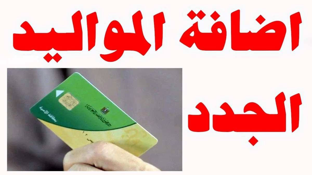 مستني ايه ضيف أطفالك بسرعة.. شروط إضافة المواليد على بطاقة التموين وخطوات الاضافة