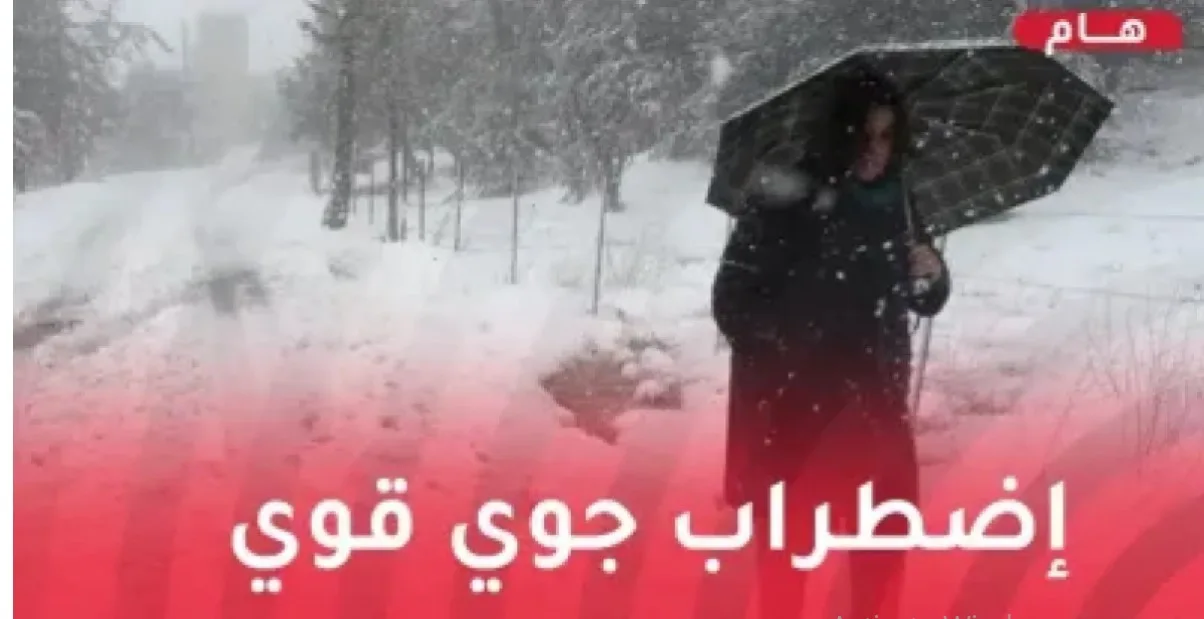 مواجهة السرقة الكبرى تعود من جديد عبر قاعات العسين بملحمة تشويقية مذهلة تثير اهتمام الجمهور المصري